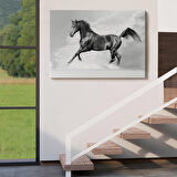 Siyah At Tablosu-6623