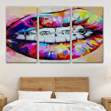 Diş Teli ve Renkli Dudaklar Graffti Tablosu-6651