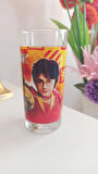 harry potter ve sırlar odası temalı orijinal cam bardak