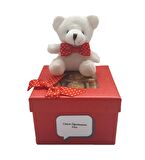 Canım Öğretmenim Çikolata Paketi Ve Ayıcık