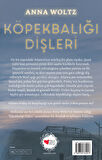 Köpekbalığı Dişleri