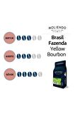 Moliendo Brasil Fazenda Yellow Bourbon Yöresel Kahve ( Çekirdek Kahve ) 250 G.