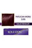 Koleston Single Tüp Boya 3/66 Patlican Moru