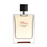 Hermès Terre d'Hermès, Eau de Parfum Intense 100ML Erkek Parfüm