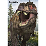Prime 3D Discovery T-Rex ve Allosaurus İkili Puzzle 200 Parça 10248
