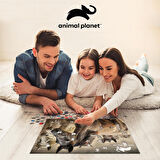 Prime 3D Atlar 500 Parça Yetişkin Puzzle 10481
