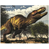 Prime 3D Discovery Tyrannosaurus Rex Puzzle 63 Parça 20925