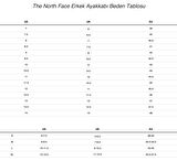 The Northface Erkek BASECAMP FLPFLP II Terlik  NF0A47AAKY41 Siyah-47