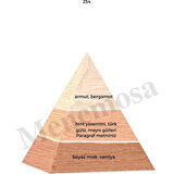 528 + 254 Erkek / Kadın Parfüm EDP 50 ml Fresh / Floral