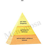 No: 528 + 323 Erkek / Kadın Parfüm EDP 50 ml Fresh / Oriental