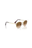 Rayban Unisex Güneş Gözlüğü RB3447 001/51 50