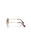 Rayban Unisex Güneş Gözlüğü RB3447 001/51 50