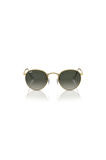 Rayban Unisex Güneş Gözlüğü RB3447 001/71