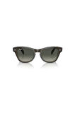 Rayban Kadın Güneş Gözlüğü 0RB0707S-664271