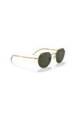 Rayban Unisex Güneş Gözlüğü 0RB3565-919631