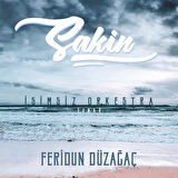 Feridun Düzağaç Sakin - Plak