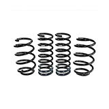 Volkswagen Passat Cc 25 Mm Pro-Kit E10-85-016-08-22 Eibach  Spor Helezon Yay