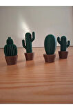 Mini Kaktüsler 4'lü Set - Bitki Gibi Ama Sonsuza Kadar