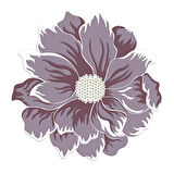 Dekoreko Figürlü Yuvarlak Özel Kesim Halı 120