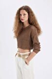 DeFacto Regular Fit Bisiklet Yaka Kroşe Ajurlu Delikli Crop Triko Kazak T4513AZ24AUBG111