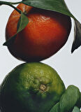 Lime Basil & Mandarin Cologne 100ml