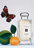Lime Basil & Mandarin Cologne 100ml
