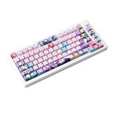 AKKO MOD 007B PC 7th Anniversary RGB Kablosuz Hotswap Mekanik Gaming Klavye