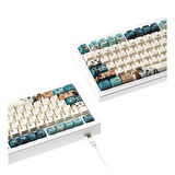 AKKO MOD 007B HE PC Joy of Life Hall Effect Manyetik Switch RGB Kablosuz Mekanik Gaming Klavye