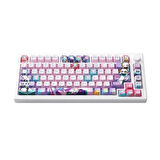 AKKO MOD 007B PC 7th Anniversary Hall Effect Manyetik Switch RGB Kablosuz Hotswap Mekanik Gaming Klavye
