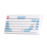AKKO MOD 007 HE PC Stellar Journey Hall Effect Manyetik Switch RGB Hotswap Mekanik Gaming Klavye