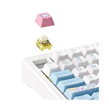 AKKO MOD 007 HE PC Stellar Journey Hall Effect Manyetik Switch RGB Hotswap Mekanik Gaming Klavye