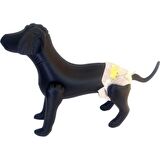 Nunbell Köpek Alt Bağlama Bezi 10'lu XS Boy