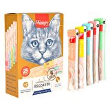 Wanpy Assorted Karışık Sıvı Yetişkin Kedi Ödülü 25x14 g 