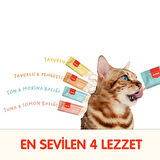 Wanpy Karışık 4 Lezzetli Krema Kedi Ödülü 100 x 14 Grm
