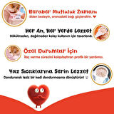 Wanpy Tavuklu Kaşık Krema Kedi Ödül Maması 10x16gr