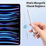 Dux Ducis SP-02 Stylus Pen iPad Tablet Dokunmatik Kalem