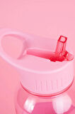 Disney Marie Lisanslı Pipetli ve Kapaklı Plastik Suluk (1000 ML)