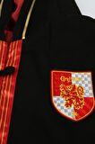Harry Potter Lisanslı Cübbe - Gryffindor