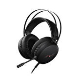 RAPOO VH310 VIRTUAL 7.1 CHANNELS GAMING HDS