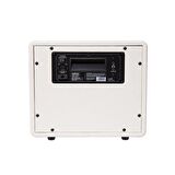 Mooer DH02 Hornet 15W Combo Gitar Amfisi
