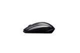 Rapoo 1620 Mou Kablosuz Optik Mouse Siyah