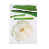 DUVAR SÜSÜ (STİCKER) ÇİÇEKLİ ŞEFFAF FİLMLİ PVC 70X50X0,5CM