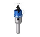 Bosch Expert 21 mm Elmaslı İnox Panç Adaptörlü 2608901404