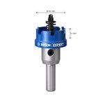 Bosch Expert 31 mm Elmaslı İnox Panç Adaptörlü 2608901414