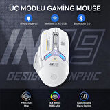 Coofbe Ayarlanabilir DPI Pofesyonel Kablosuz Şarjlı Oyuncu Mouse 2.4G 500mAh Gaming Mouse RGB Işıklı