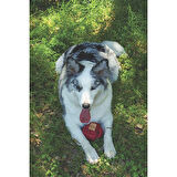 M-Pets Coto Red Ball Örgü Top Köpek Oyuncağı 9,5 Cm 