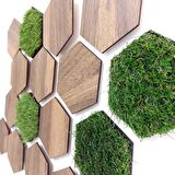 CajuArt 16 Parça Geometrik Çim Detaylı Modern Dekoratif Duvar Dekoru Tablo