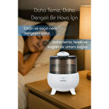 Direct Nexus Buhar Makinesi