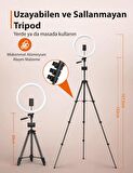 TaoTronics TT-CL027 12” Ring Light Halka Işık 3 Renk 10 Kısıklık Ayarı 155 cm 2 Telefon Tutucu Uzayabilen Tripod