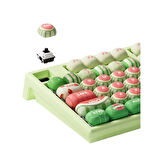 AKKO MONSGEEK MG108B Watermelon RGB Kablosuz Hotswap Mekanik Gaming Klavye